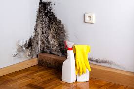 Best Commercial Mold Inspection  in Frankfort, IL